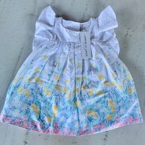 Janie and Jack floral ruffle sleeve baby special occasion dress